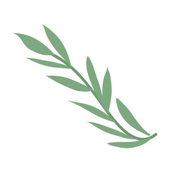 Isolated green leaf icon vector design