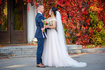 Fototapeta premium Newlyweds groom and bride walking in autumn park. red vineyard. red background