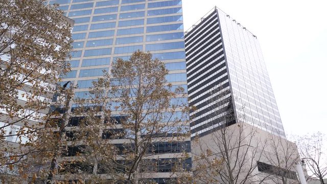 Autumn trees on business center background