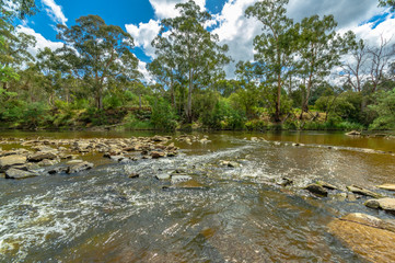 Wide River Sunny