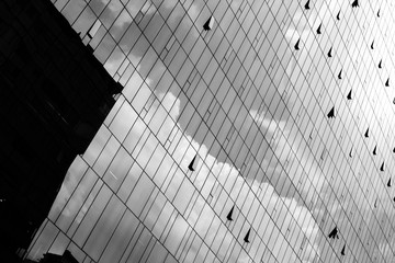 Reflejos