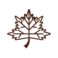 thanksgiving leaf plant autumn icon