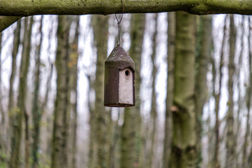Vogelhaus hängt an einem Ast im Wald - selektiver Fokus