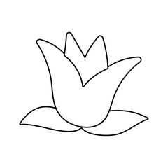 Isolated flower ornament with leaves vector design