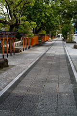 Fototapeta premium 朱塗りの灯篭の続く参道