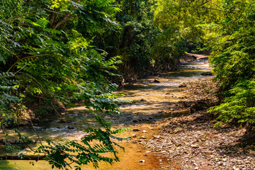Very little water flowing through this river during a summer season of drought in the mountains of a tropical Caribbean island. Rural countryside setting with beautiful green lush foliage and stream.