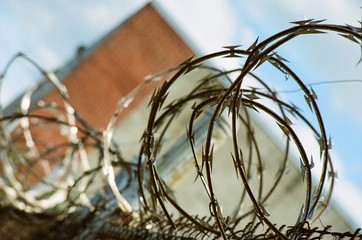 Razor Wire
