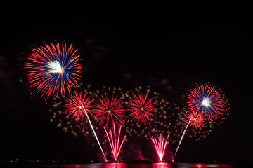 Many fireworks are shot in the dark sky.