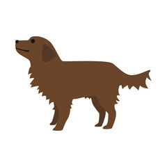 犬のイラスト。小型犬のミニチュアダックスフンド。