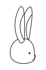 Cute rabbit cartoon vector design