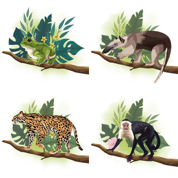 group of wild animals in tree branches scenes