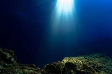 Fototapeta na wymiar Cathedrals of light underwater