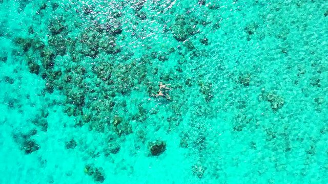 Couple snorkeling in the sea surrounded by small coral structures, Foa Island Reef System, unhealthy coral reef, texture or background water shot, Aerial