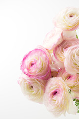 ラナンキュラス