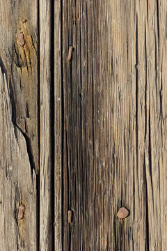 Detail of old wood doorway and nails, Provence, Cádiz Spain