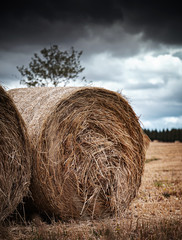 bales of hay