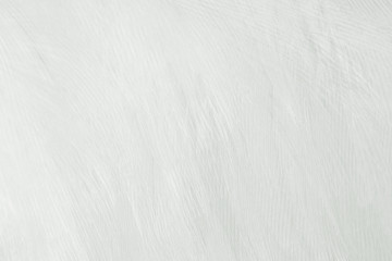 Fototapeta na wymiar Beautiful line white feather wool pattern texture background