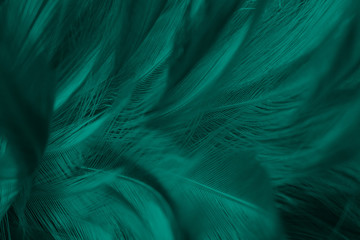 Schöne dunkelgrüne Viridian Vintage Farbtrends Feder Textur Hintergrund