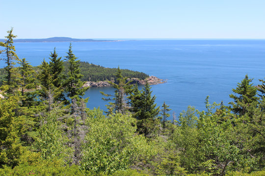 Newport Cove and Great Head Mountain from the Gorham Mountain Trail at Acadia National Park in Maine