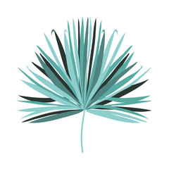 Isolated tropical green leaf vector design