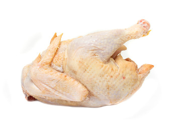 Turkey a chicken carcass on a white background.