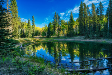 Lost Pond in the fall, Mueller State Park, CO