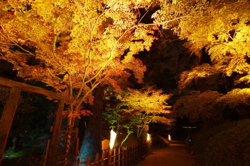 栗林公園　秋の紅葉ライトアップ