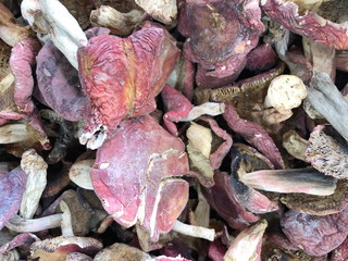 Dried boletus mushrooms for sale on the market
