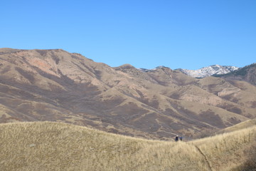 Dry landscape of the Wasatch Mountain foothills in late Fall