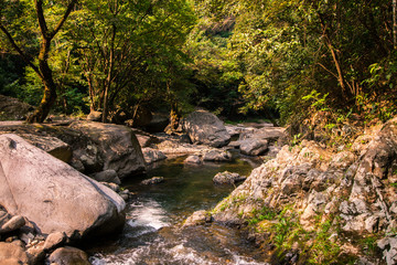 National park, Ningbo, Zhejiang province, China