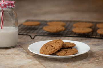 Molasses sugar cookies and milk