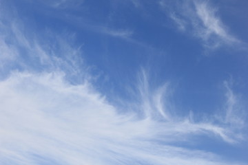 Fototapeta premium 爽やかな青空と白い雲