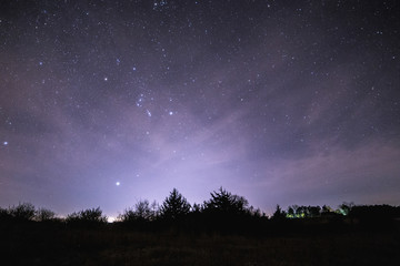 night sky stars and trees