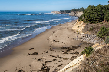Sandy beach cliff and ocean waves.