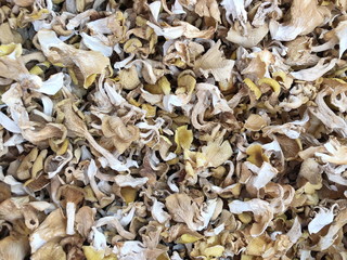 Dried boletus mushrooms for sale on the market