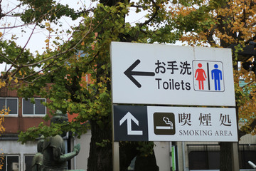 Toilet sign in Japan