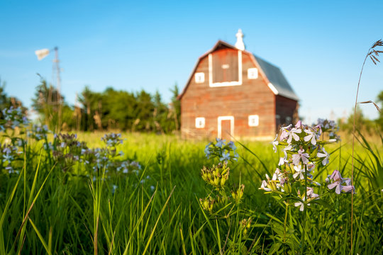 A Red Barn On Green Grass In Summer