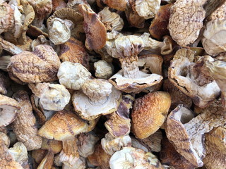Dried boletus mushrooms for sale on the market