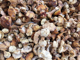 Dried boletus mushrooms for sale on the market