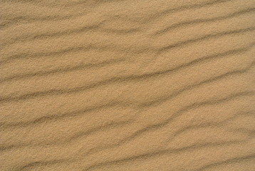 Sand dune Background