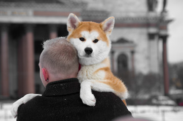 A man in a black coat holds a dog in his arms. Japanese breed Akita inu. Winter in Russia.