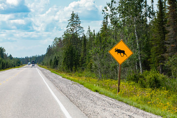 warning for moose crossing the road sign, pine trees forest on the roadsides, Vehicles on Canadian rural roads during a sunny day