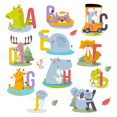 Animal alphabet graphic A to K. Cute vector Zoo alphabet with animals in cartoon style.