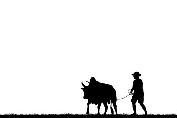 silhouette man with a cow walks on white background