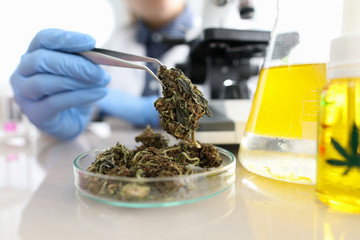 Tube with cannabinoid oil and leaf sign