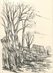 trees by the pond sketch
