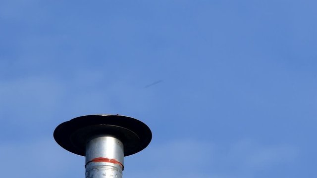 A chalk-browed mockingbird (Mimus saturninus) takes off 
from a chimney.