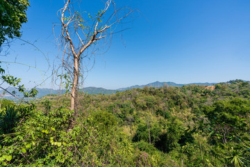 beautiful blue sky high peak mountains mist fog wildlife green forest at Phu Khao Hin Pakarang, Khao Koh, Phetchabun, Thailand. guiding idea long weekend for backpacker camping  hiking  