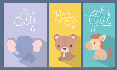 Fototapeta na wymiar Baby shower invitation with animals cartoons vector design