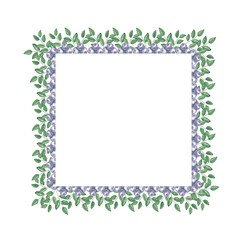 Square frame of blueberries